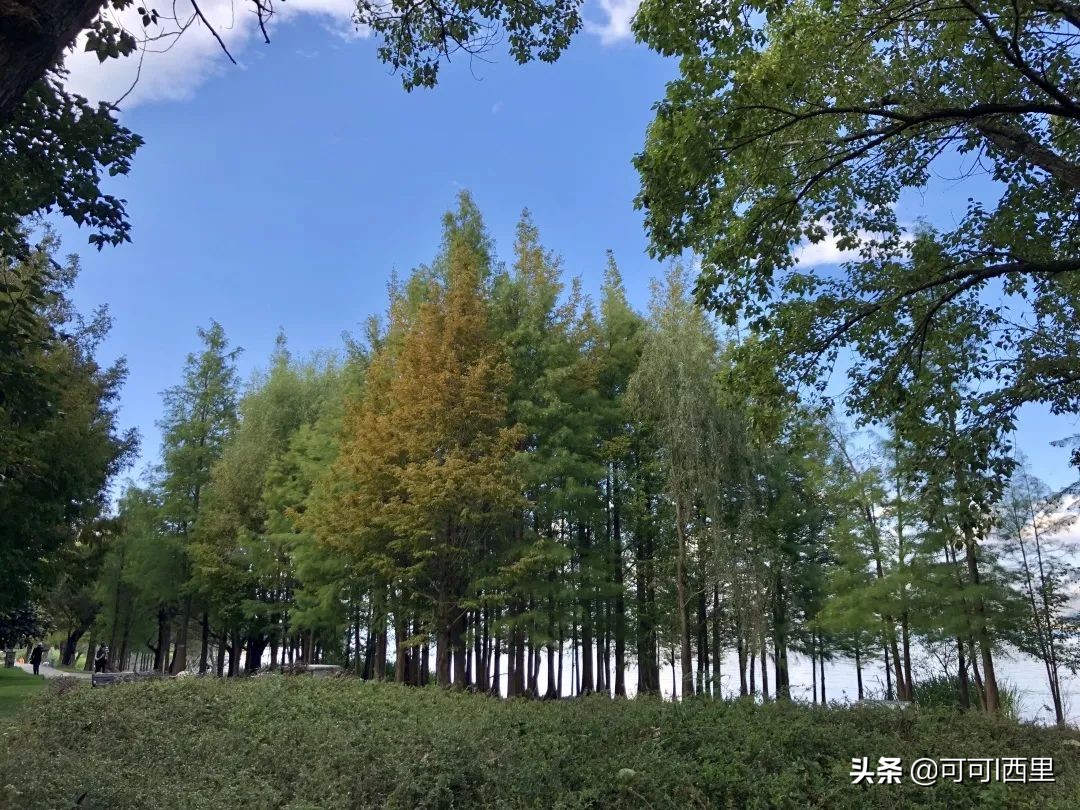 知足不常乐议论文600字,知足不知足诗词