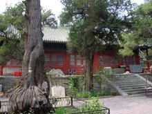 此地3000亩，只葬了一个家族，拥有10万多座坟冢，94年申遗成功