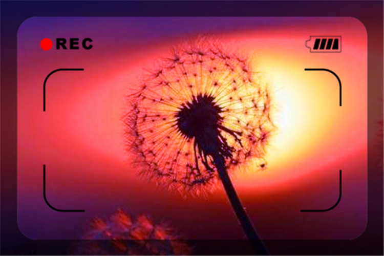 想白手起家第一步该做什么,一个普通人如何创业