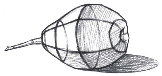 素描静物步骤及画法简单,素描静物不锈钢电水壶结构素描