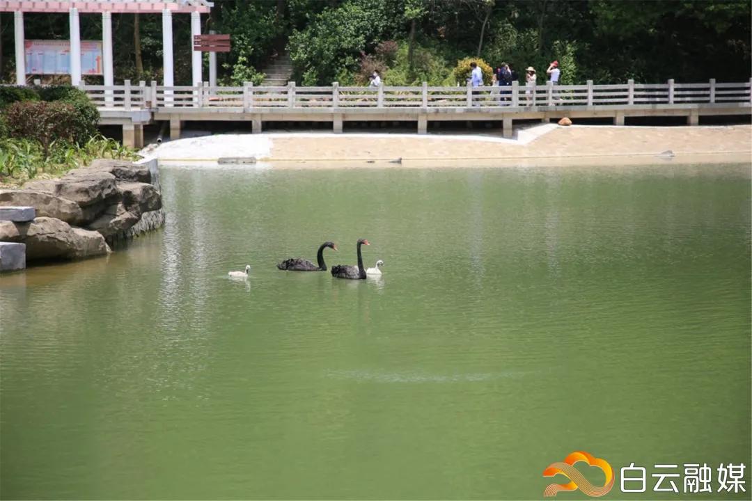 阳光正好来场户外,阳光正好去爬山