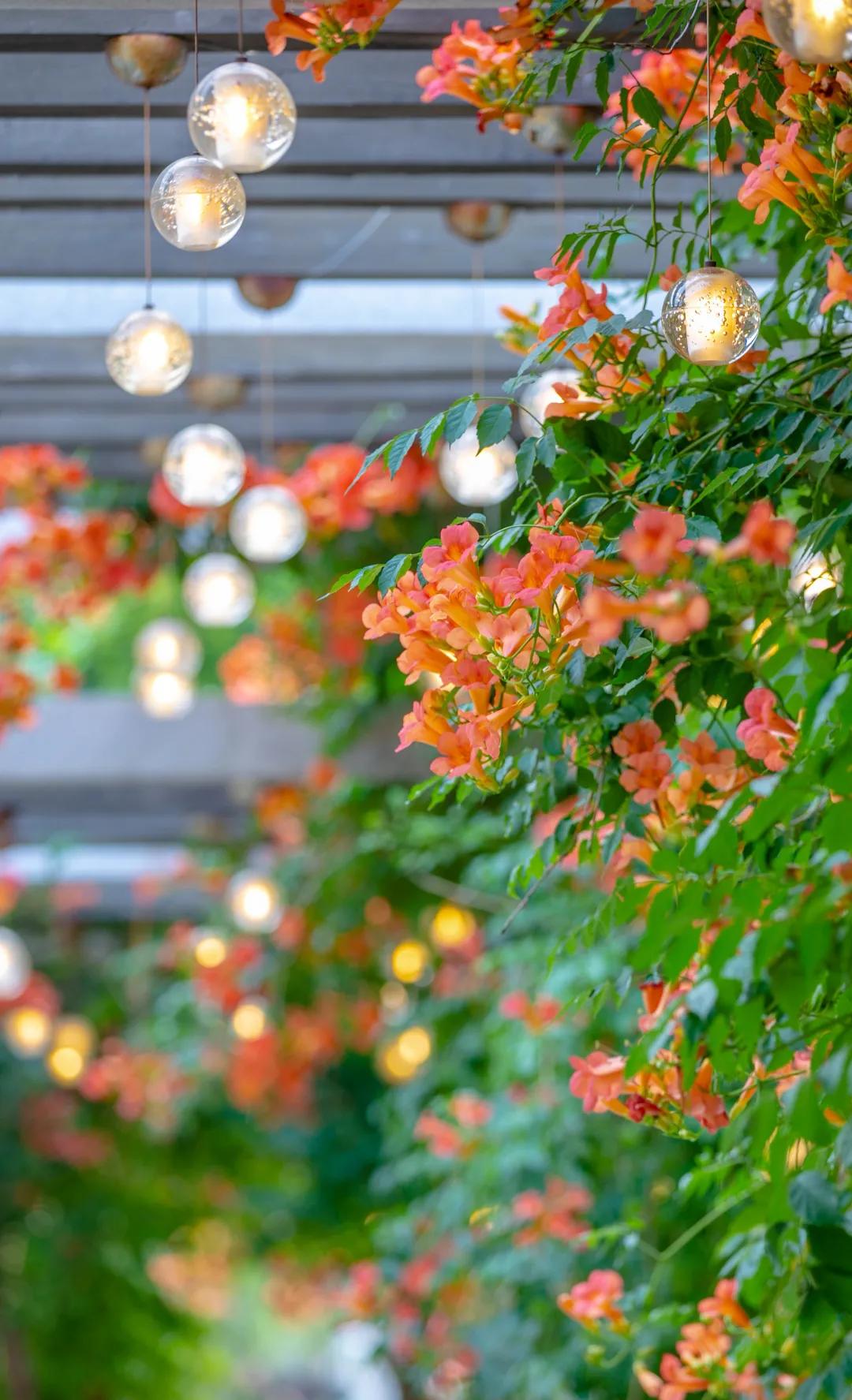 在济南花式避暑，一见“清”心！只需一瞥，便足以把酷夏原谅…