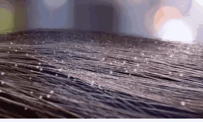 油头有头屑洗发水推荐,头屑油头用什么洗发水