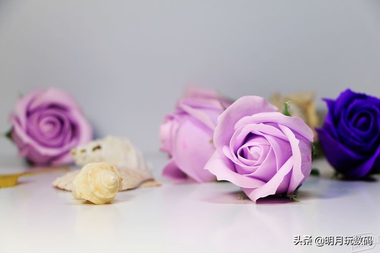 UV镜头保护镜,uv镜头和保护镜哪个好