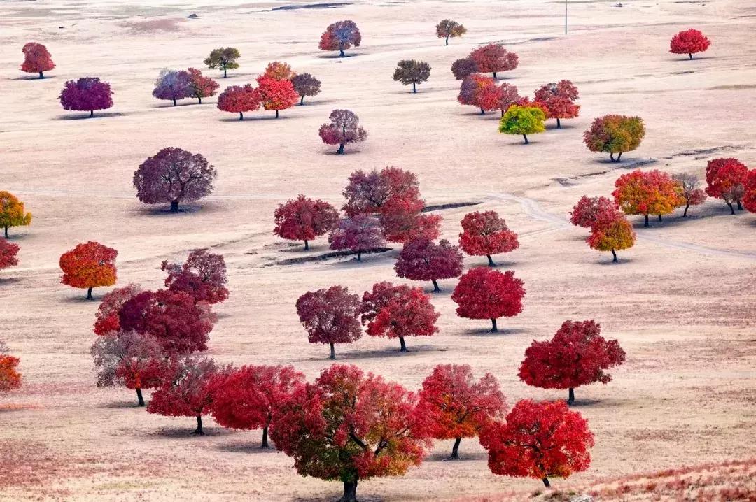 2019必去的旅行地,8月最新旅行地推荐