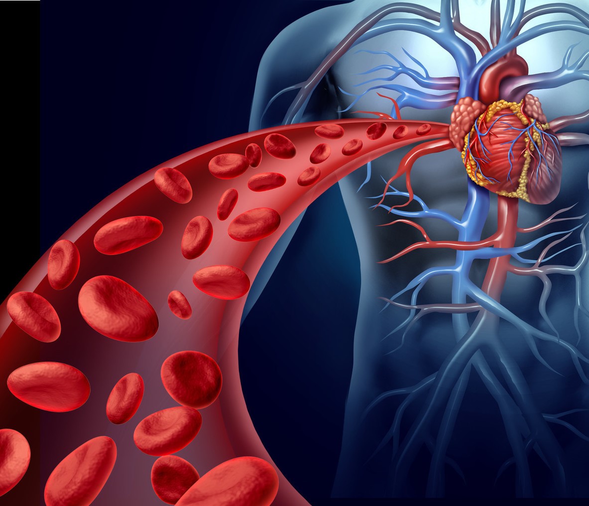 多次测血压在140-160之间,30岁低压90多怎么调理