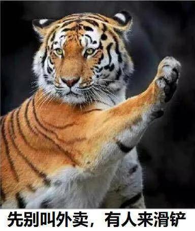 滑铲能不能收拾老虎,一个滑铲能收拾一只老虎吗