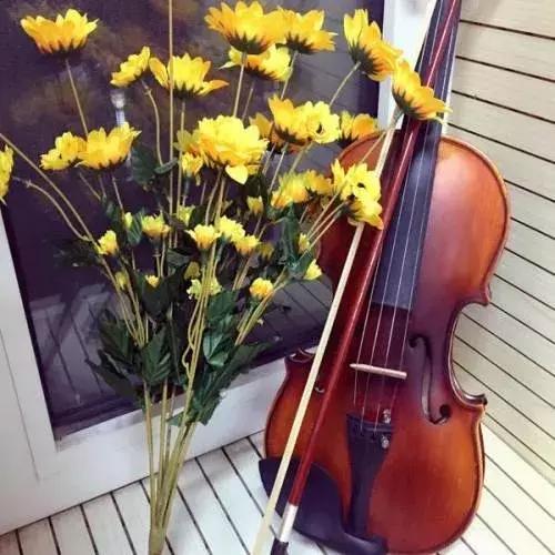 初学者学小提琴的真实现状,带你体验小提琴的魅力