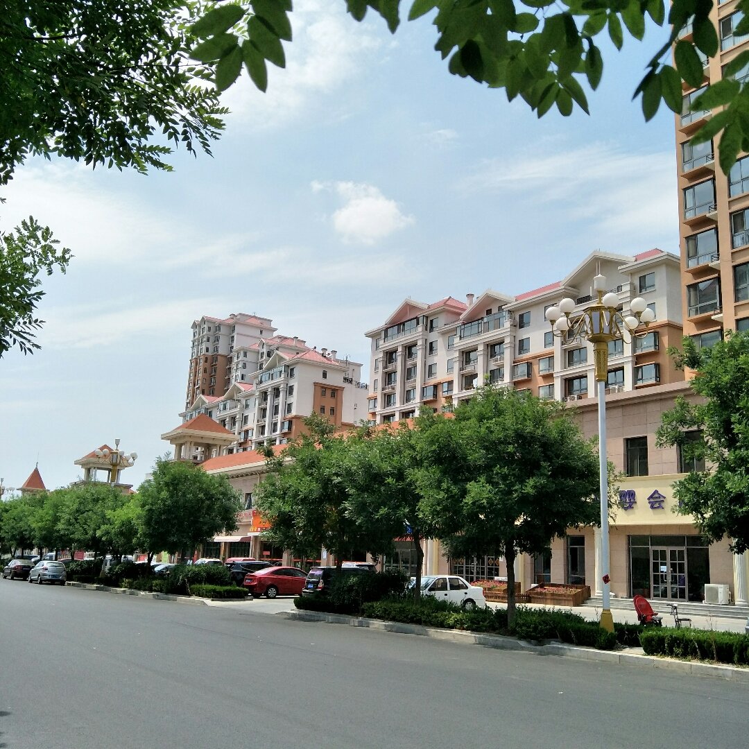 龙口海边的房子真的不潮湿吗,山东龙口海滨小城