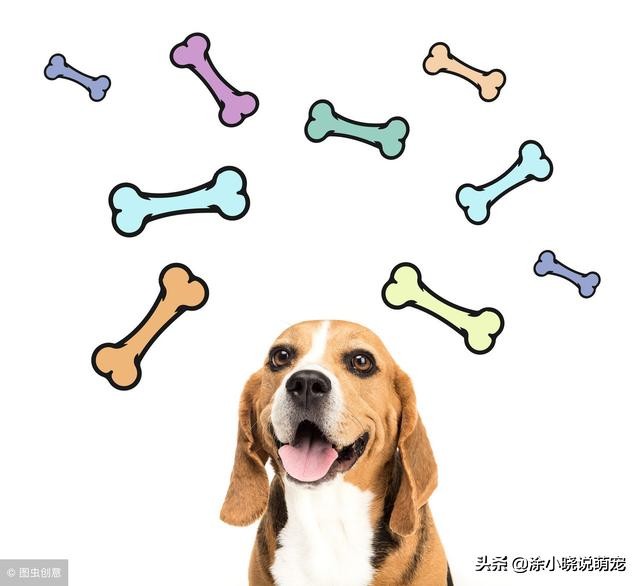 抱卵的虾死了卵能孵化吗,虾卵漂浮在水面还能孵化么