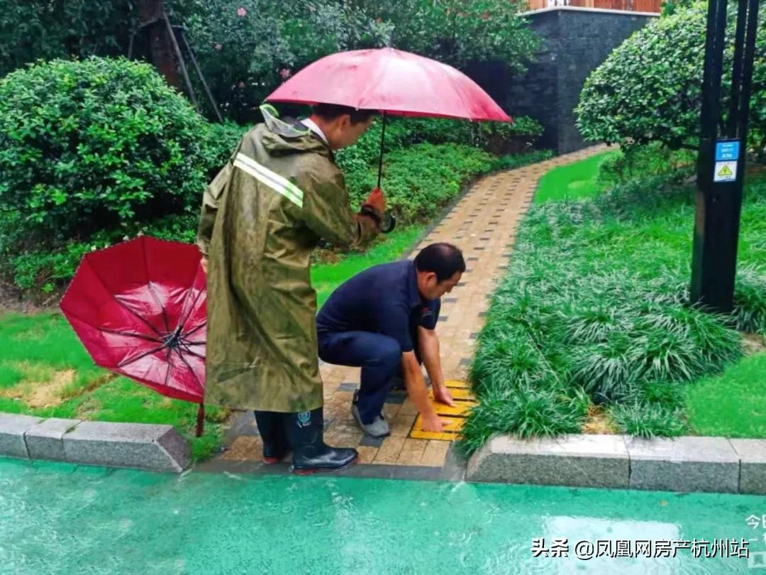 烟花过境商丘,烟花过境安庆