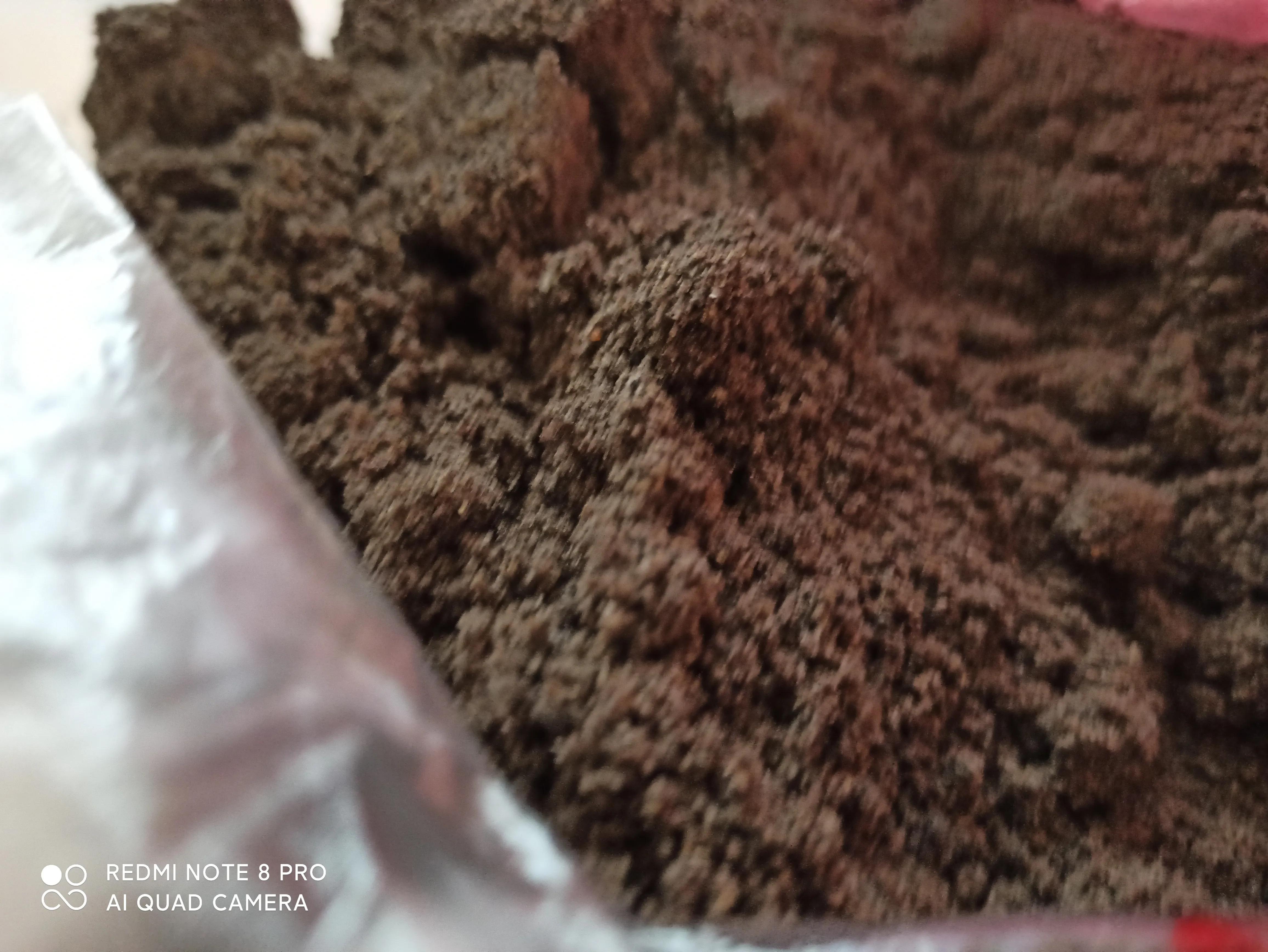 打黑芝麻糊的破壁机,打黑芝麻糊技巧视频