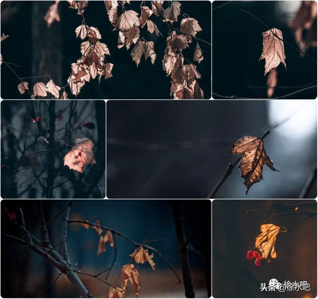 「徐水映像」换个角度看保定徐水,美