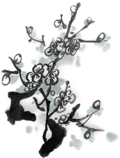 零基础梅花花朵入门画法,零基础学国画梅花入门步骤