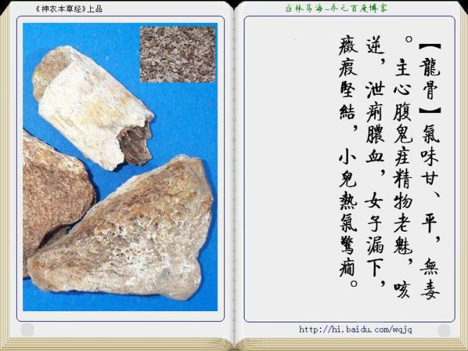 本草纲目中药讲解视频,本草纲目中药图谱及药理讲解