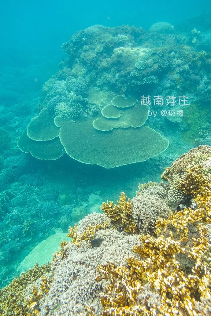 中国可浮潜的海湾,世界最美且可以浮潜十大海滩