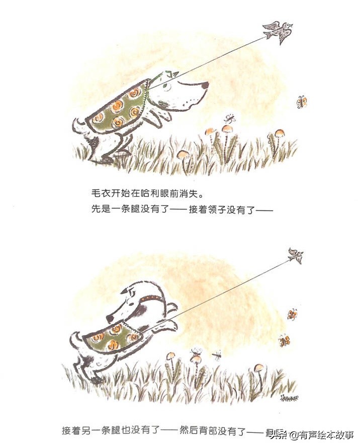 儿童故事哈利的花毛衣,哈利不可以有声绘本故事