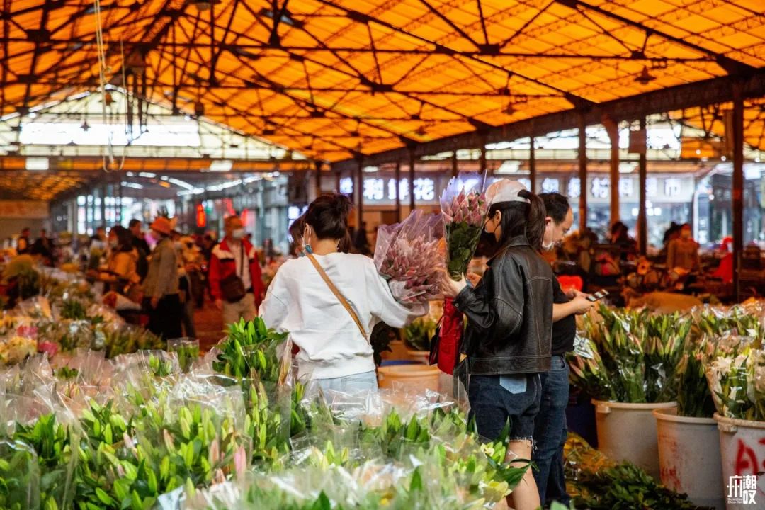 深夜去广州的花卉市场买花,如何逛斗南花卉市场买花便宜