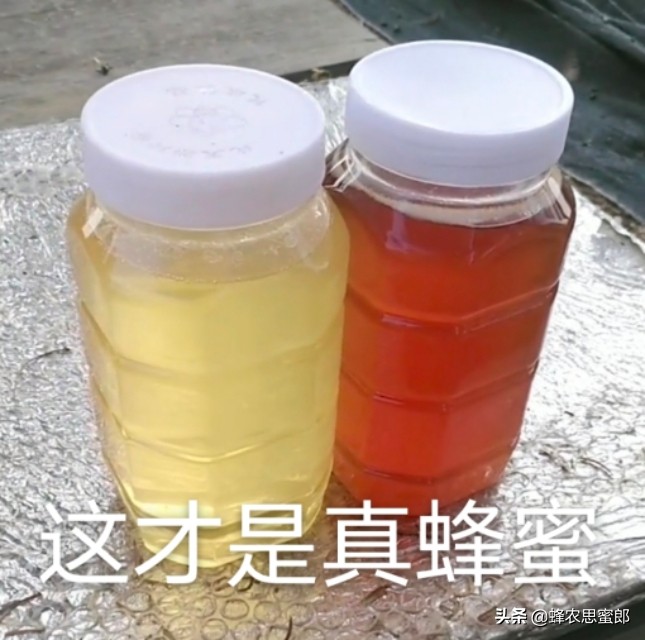 中蜂蜂蜜市场前景分析,蜂蜜行业发展前景及其风险