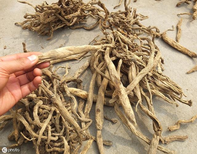 脱贫攻坚中药材种植成致富良方,中药材成了群众脱贫致富宝