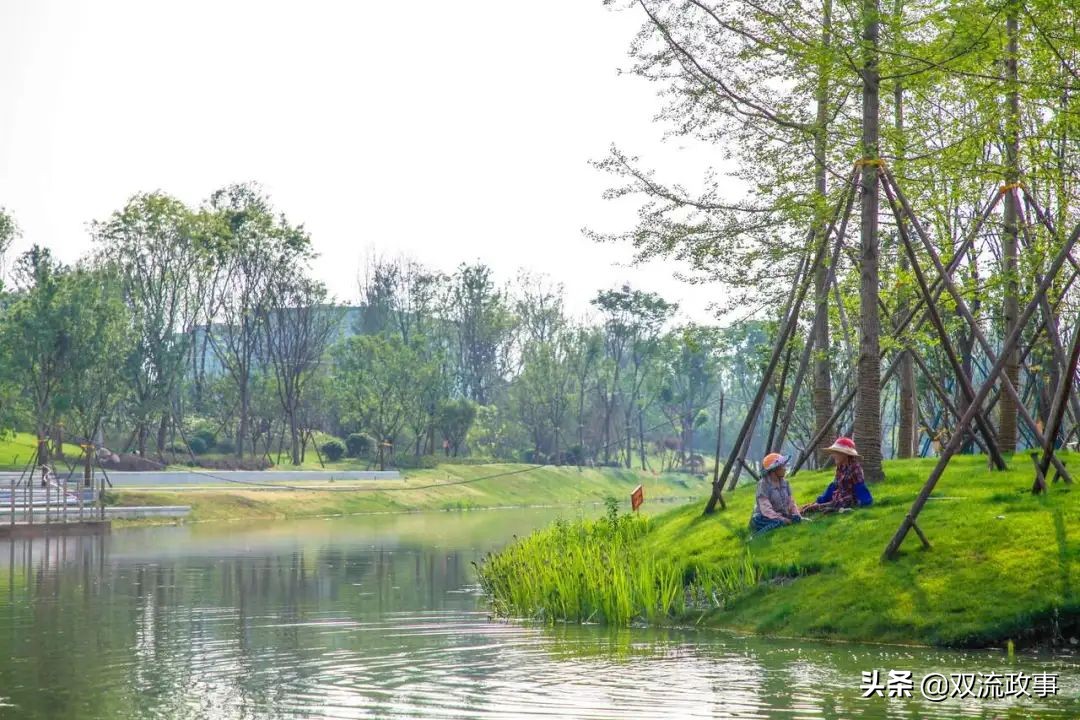 成都双流最美公园,公园城市的美