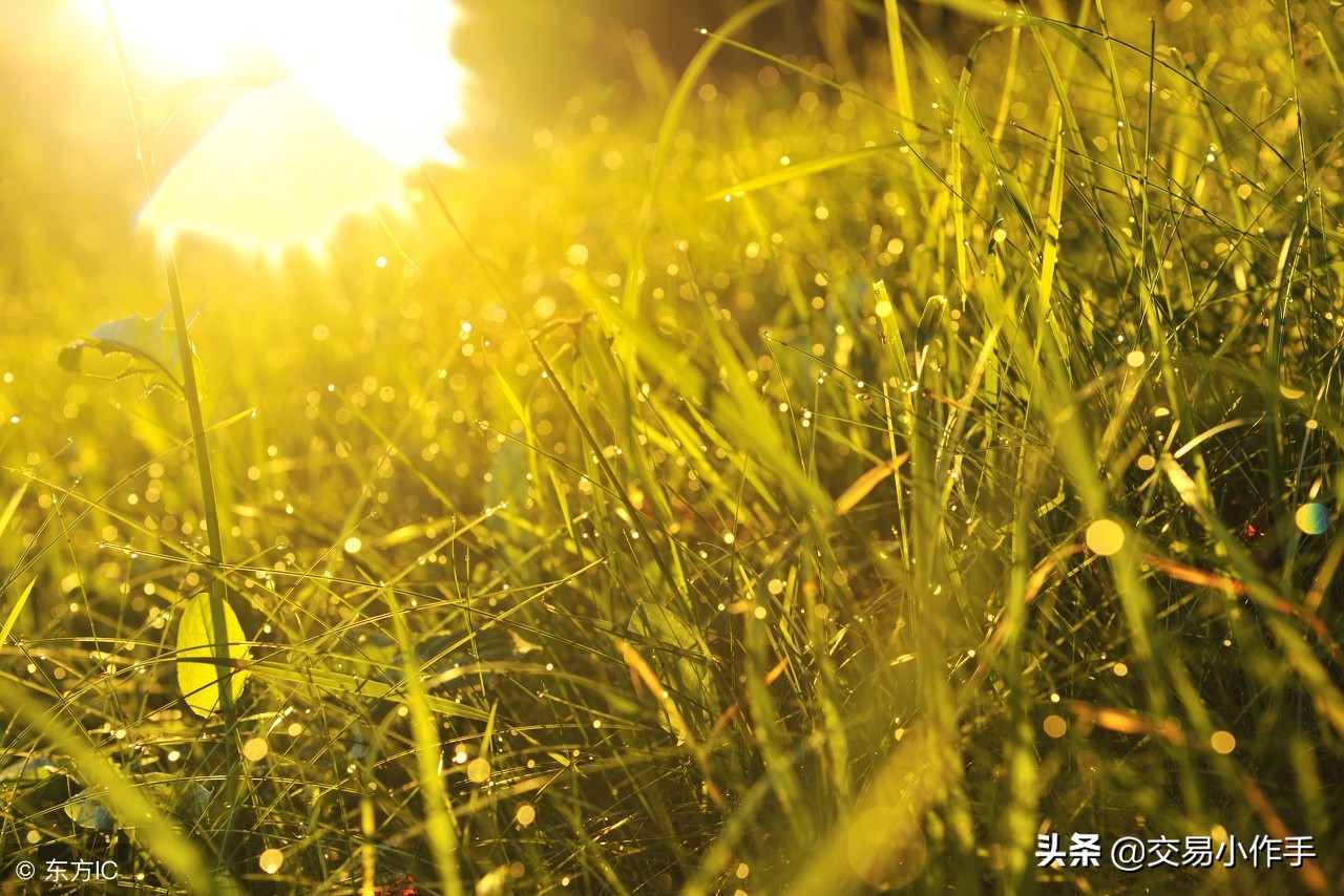 期货交易最低条件,期货最高境界就是不止损