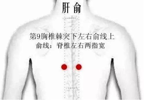 脂肪肝一般按哪个穴位最好,脂肪肝的人可以按脚部哪个穴位