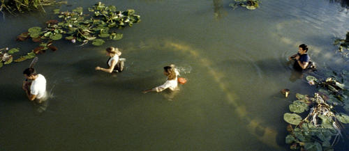 亚马逊里面有一种软软的凶猛的鱼,亚马逊凶狠鱼类