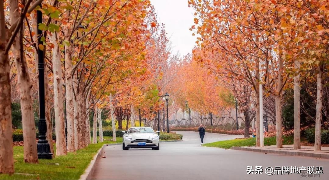 灏氬朝澹瑰彿娴峰痉鍏洯,鍖椾含灏氬朝澹硅櫉