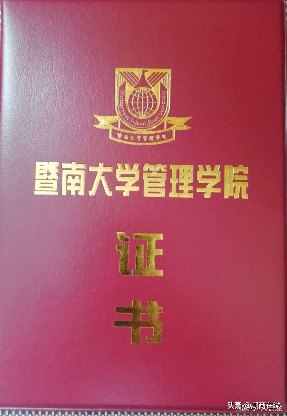 【人物传记】网络新媒体传媒专家林奕艺