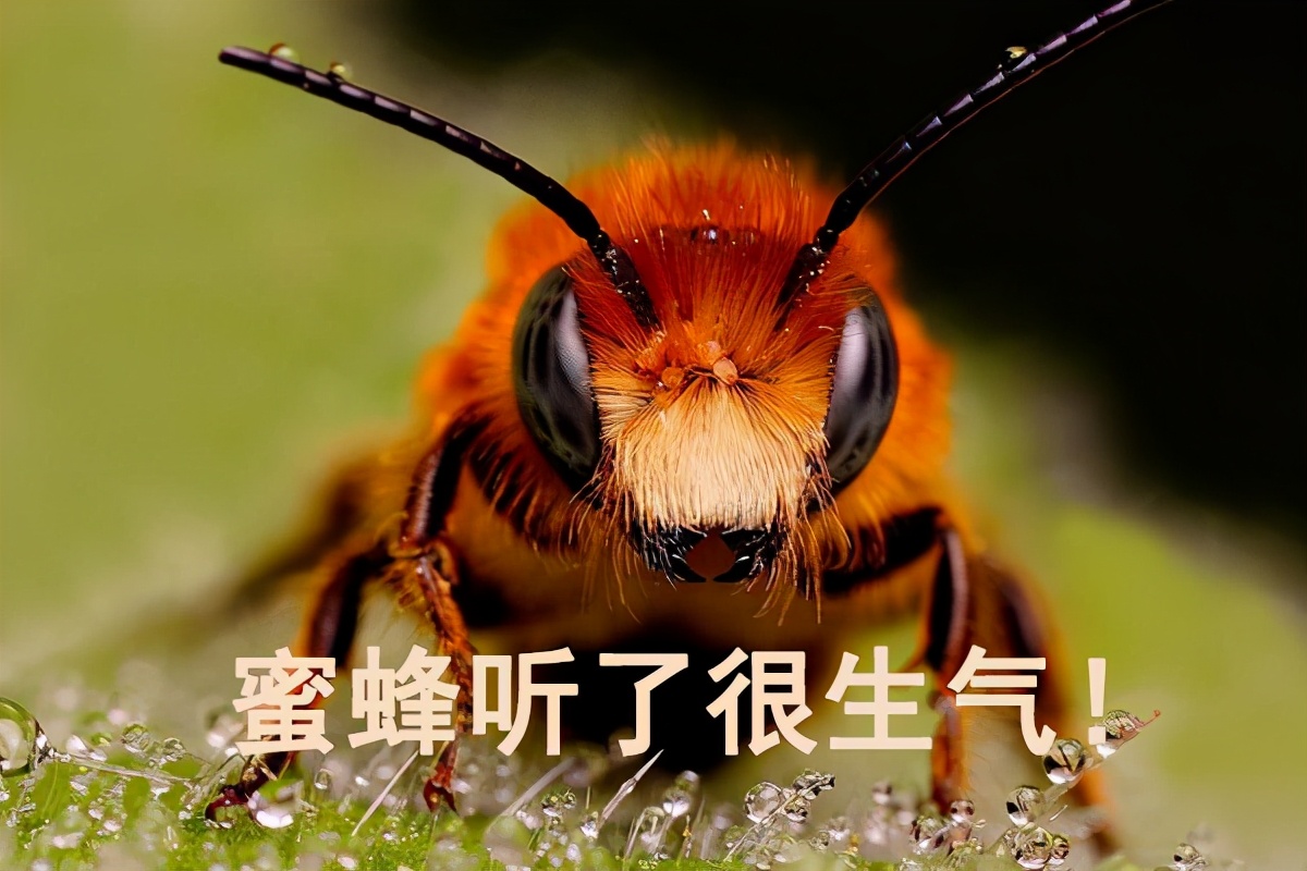 性早熟食物黑名单又增加了?最可能引起性早熟的原因看这篇