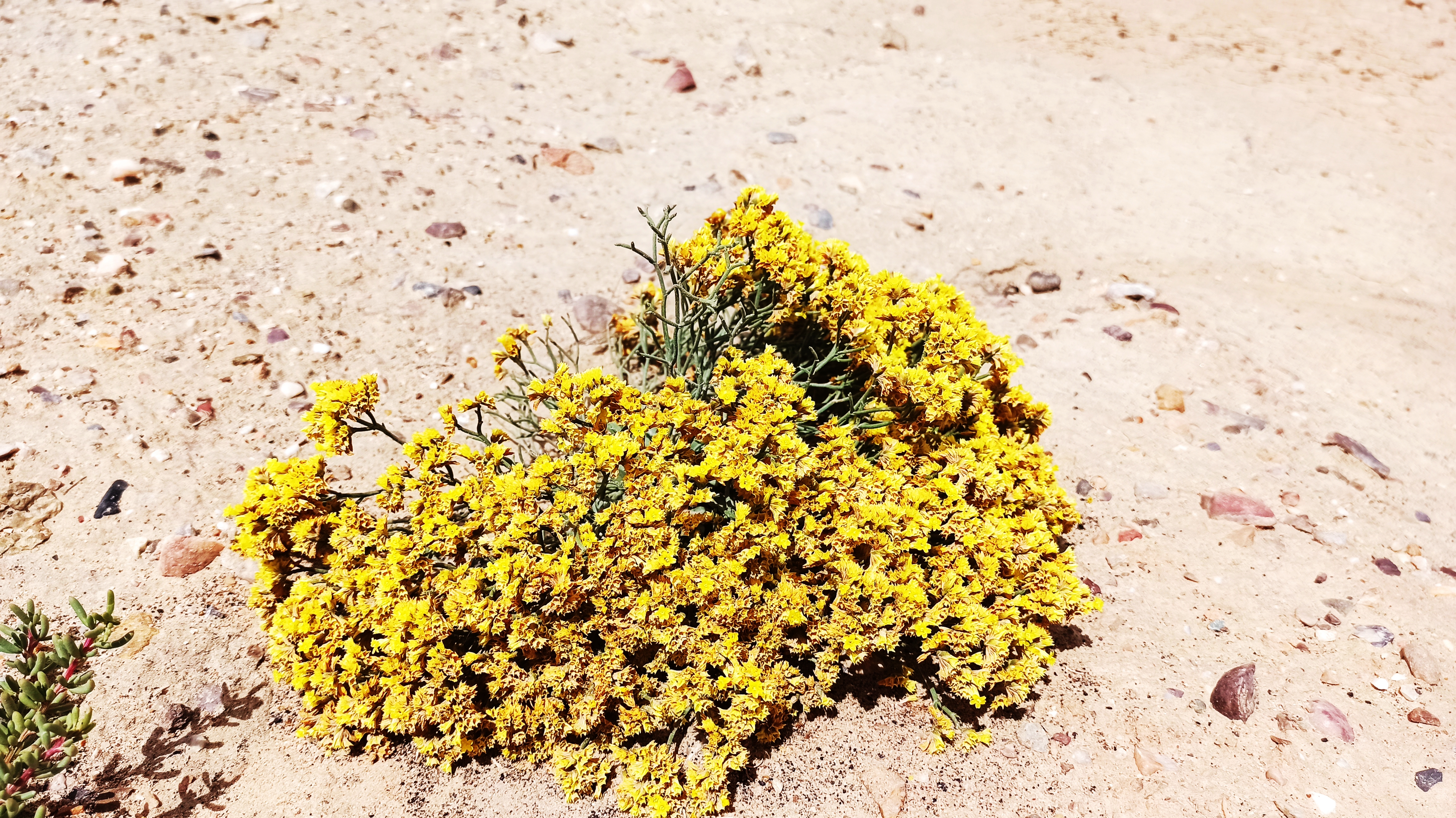 老中青三代旅游,老中小三代旅游攻略