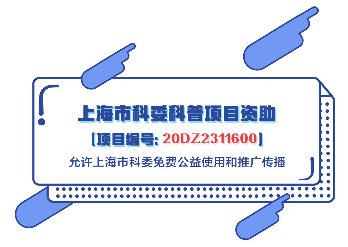 慢性肾炎是怎么引起的能治愈吗,慢性肾炎能调理好吗