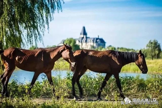 带娃周边3-4天自由行攻略,又到周末要带娃