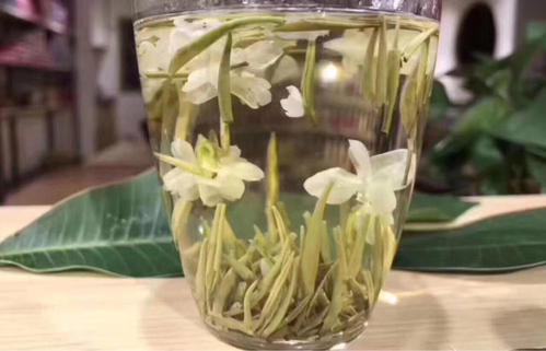 好茉莉花茶与便宜的茉莉花茶区别,茉莉花茶不同的茶型哪种好喝