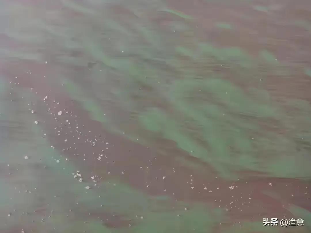 原来大鱼进窝会有这些现象，老钓手一说，让我茅塞顿开