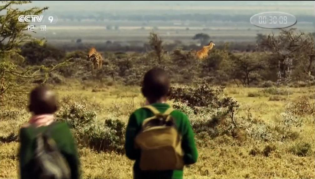 非洲小孩艰难的上学路：每天都在赌命，要是没回家就是被狮子吃了