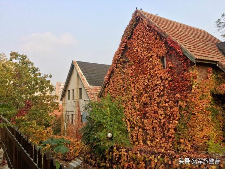 大连市八七疗养院的故事,大连八七疗养院