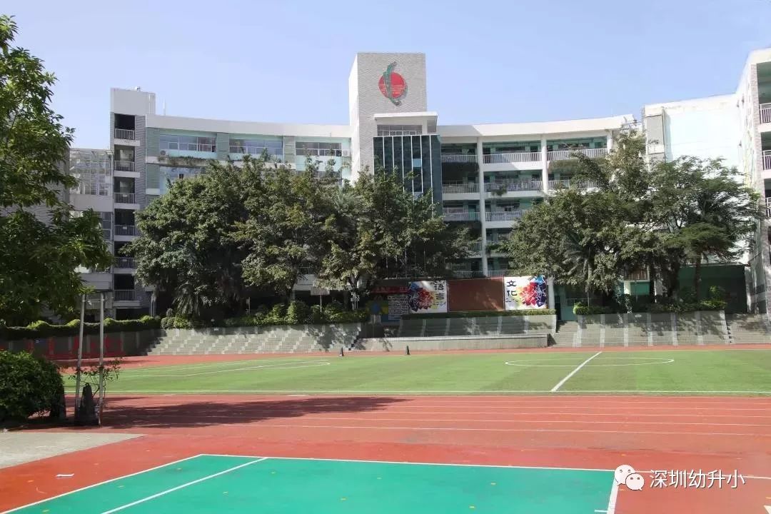 深圳最新的重点小学排名,深圳各区排名前十的小学