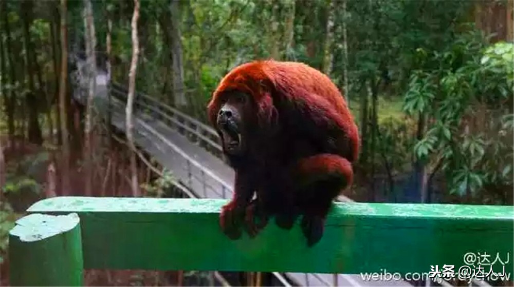 那些年曾住过的酒店,那些年住过的民宿