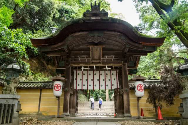 鍚嶄睛鎺㈡煰鍗椾箤鍐潰,鍚嶄睛鎺㈡煰鍗楀ぇ闃箤鍐潰