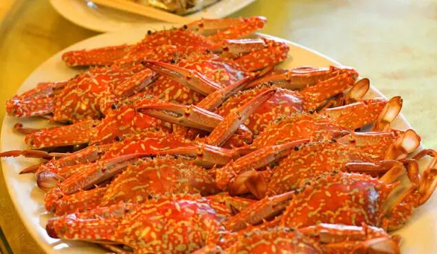 湛江一日游最佳景点湛江特呈岛,特呈岛湛江旅游攻略