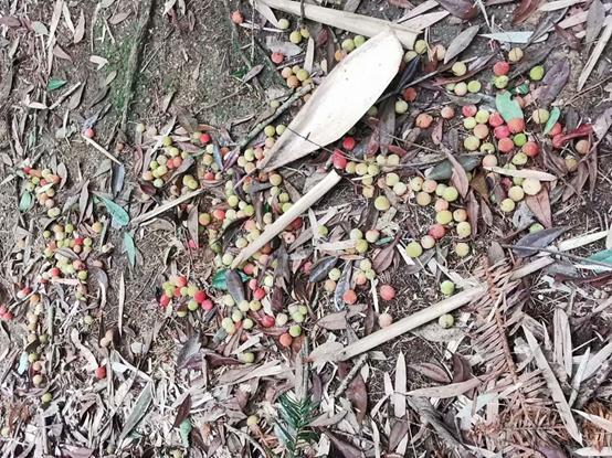 江湖路的风景视频,江湖路上走走停停