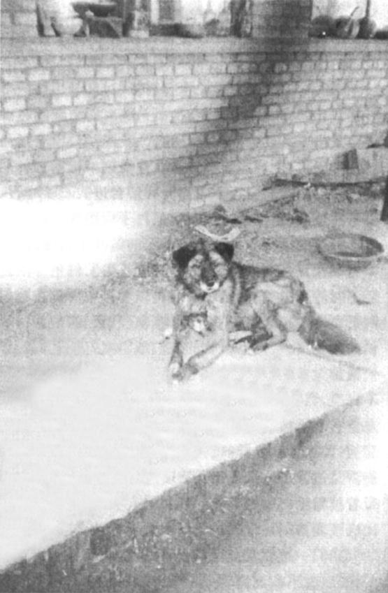 广灵县游历,广灵游历