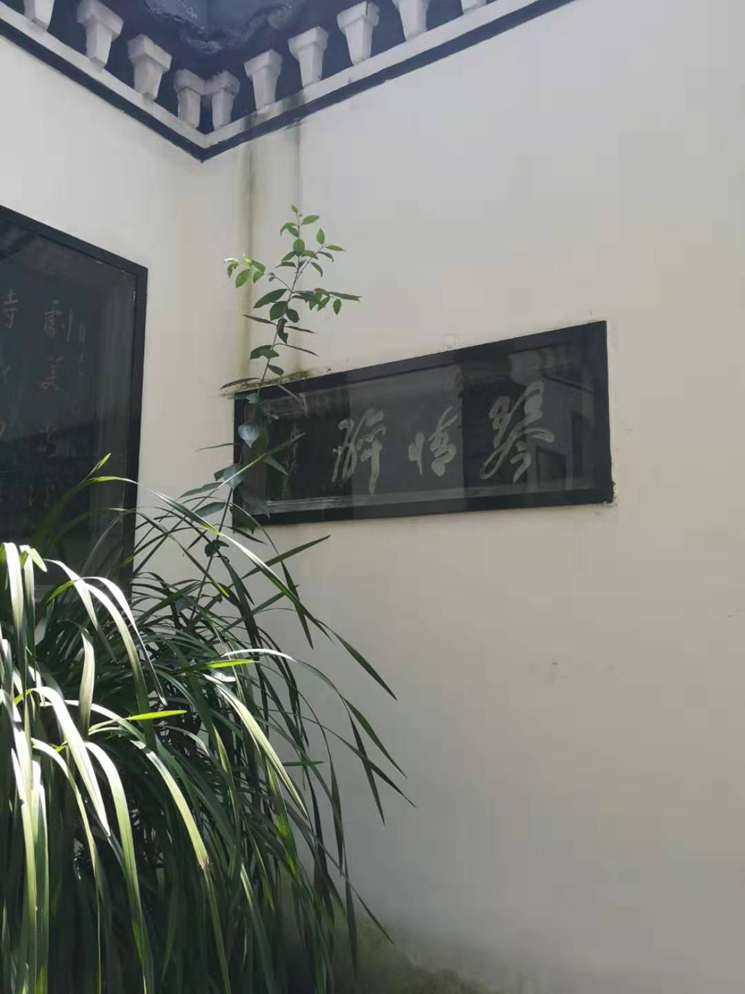 游相如故里,游邛崃遗址公园作文