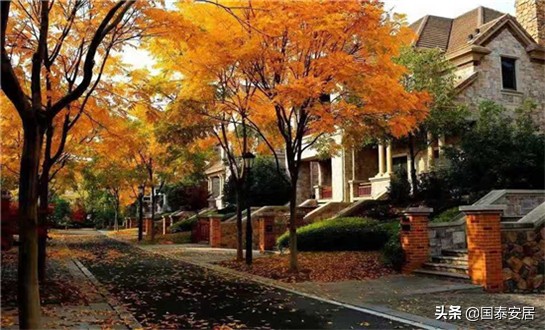 香格里拉售楼部电话,杭州新湖香格里拉平面图