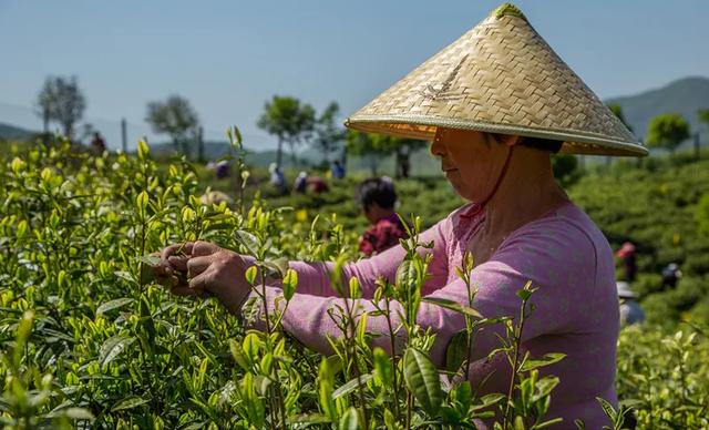 溧阳市枫香小筑民宿,溧阳天目湖最好的民宿