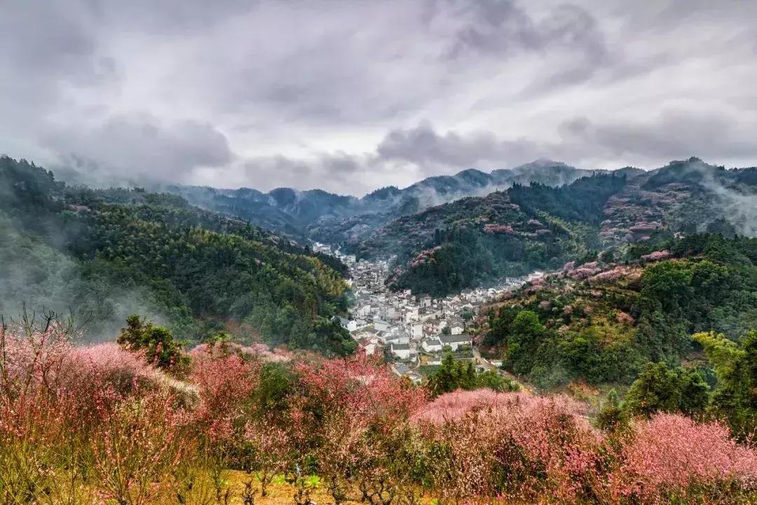 一个徽州惊艳全世界,徽州凭什么惊艳世界