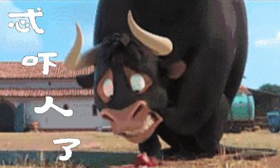 牛搞笑表情动图gif图片,牛的搞笑段子