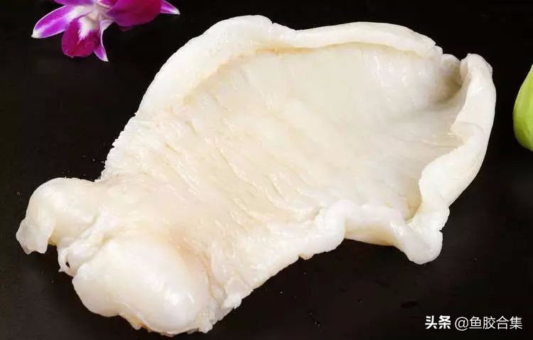 鱼胶怎么保存不会发霉,鱼胶里面发霉长毛有臭味